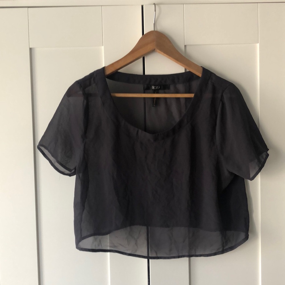 Sheer BCBG crop top
